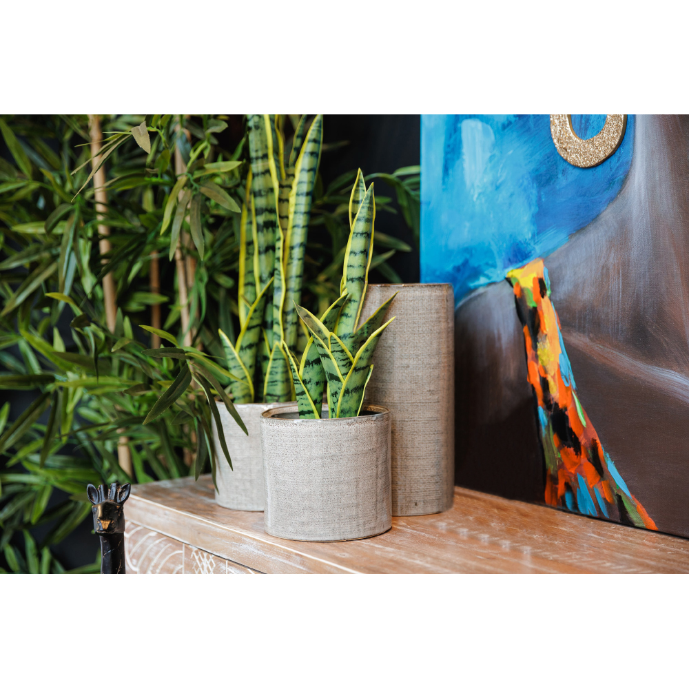 SANSEVIERIA ΦΥΤΟ ΤΕΧΝΗΤΟ ΣΕ ΓΛΑΣΤΡΑ 15x12x32 ΥΦΑΣΜΑ ΠΡΑΣΙΝΟ ΚΙΤΡΙΝΟ ΠΛΑΣΤΙΚΟ