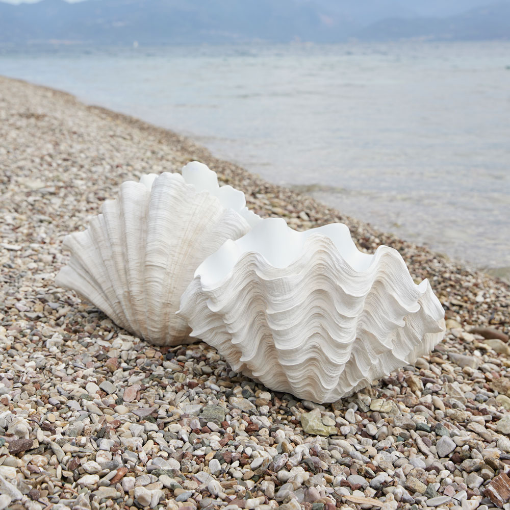 CORALLI ΔΙΑΚΟΣΜΗΤΙΚΟ ΚΟΡΑΛΙ 49x32x29 POLYRESIN ΛΕΥΚΟ