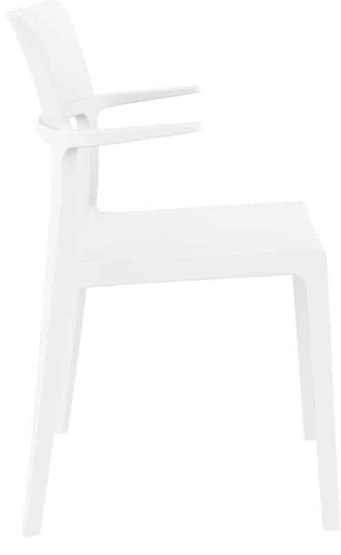 PLUS WHITE ΠΟΛΥΘΡΟΝΑ ΠΟΛ/ΝΙΟΥ