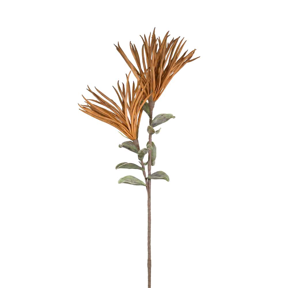 TERACCOTA 1 ΛΟΥΛΟΥΔΙ ΤΕΧΝΗΤΟ 100 EVA FOAM TERRACOTTA