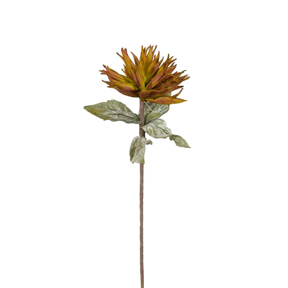 TERACCOTA 2 ΛΟΥΛΟΥΔΙ ΤΕΧΝΗΤΟ 83 EVA FOAM TERRACOTTA