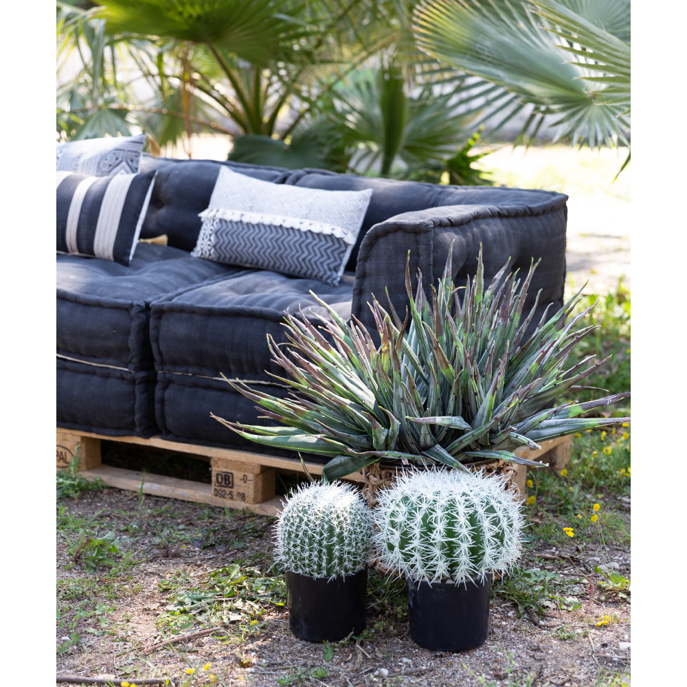FEROCACTUS ΦΥΤΟ ΤΕΧΝΗΤΟ ΣΕ ΓΛΑΣΤΡΑ 18x18x30 ΥΦΑΣΜΑ ΠΡΑΣΙΝΟ ΛΕΥΚΟ ΠΛΑΣΤΙΚΟ