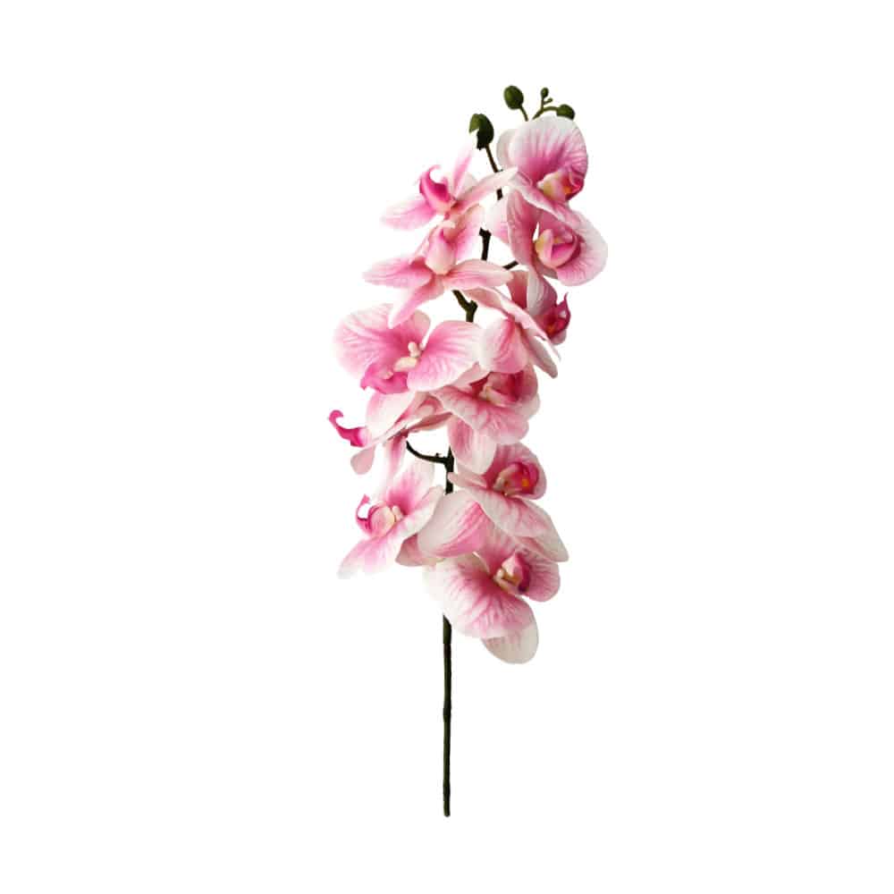 ORCHIDEE ΛΟΥΛΟΥΔΙ ΤΕΧΝΗΤΟ 91x16x10 PEVA ΡΟΖ ΛΕΥΚΟ