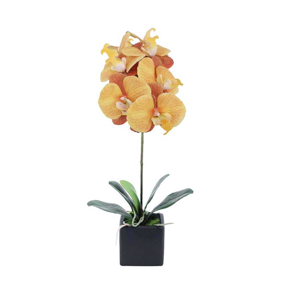 ORCHIDEA ΛΟΥΛΟΥΔΙ ΤΕΧΝΗΤΟ ΣΕ ΓΛΑΣΤΡΑ 63 PEVA ΚΙΤΡΙΝΟ ΠΟΡΤΟΚΑΛΙ ΚΕΡΑΜΙΚΟ