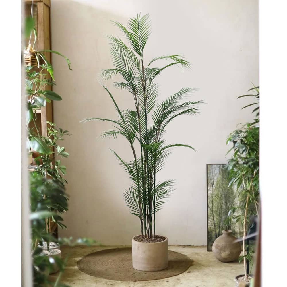 MAJESTY PALM ΔΕΝΤΡΟ ΤΕΧΝΗΤΟ ΣΕ ΓΛΑΣΤΡΑ 180 PVC ΠΡΑΣΙΝΟ ΜΑΥΡΟ ΤΣΙΜΕΝΤΟ