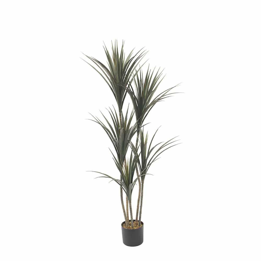 YUCCA ΔΕΝΤΡΟ ΤΕΧΝΗΤΟ ΣΕ ΓΛΑΣΤΡΑ 150 PE ΠΡΑΣΙΝΟ