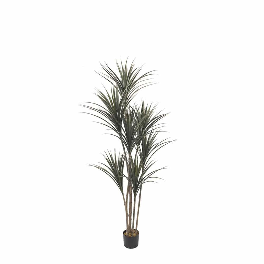 YUCCA ΔΕΝΤΡΟ ΤΕΧΝΗΤΟ ΣΕ ΓΛΑΣΤΡΑ 190 PE ΠΡΑΣΙΝΟ