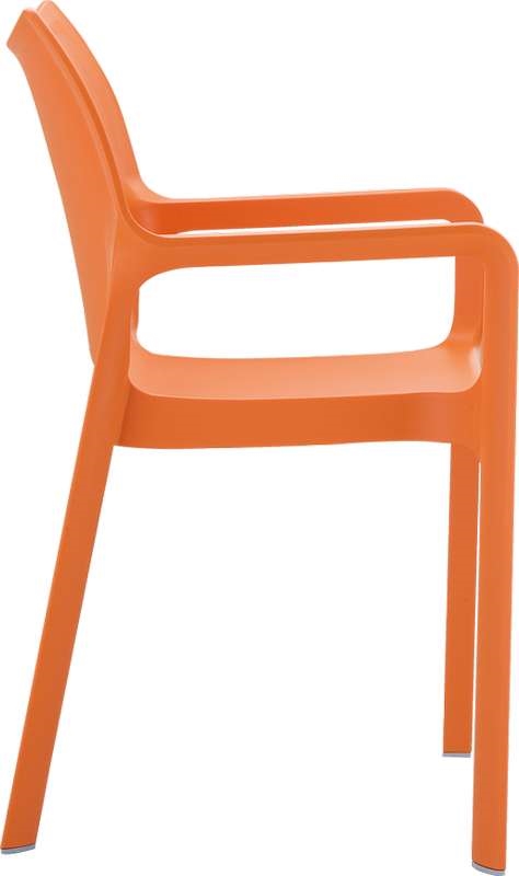 DIVA ORANGE(Σ22)ΠΟΛΥΘΡΟΝΑ ΠΟΛ/ΝΙΟΥ