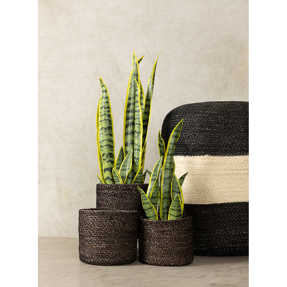 DEL MAR ΚΑΣΠΩ SET 3ΤΜΧ 20x20x18cm SEAGRASS ΜΑΥΡΟ