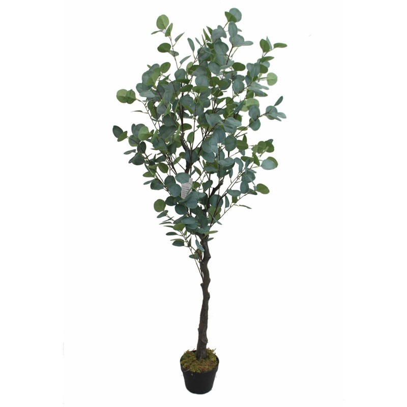 Τεχνητό Φυτό Ευκάλυπτος 165cm