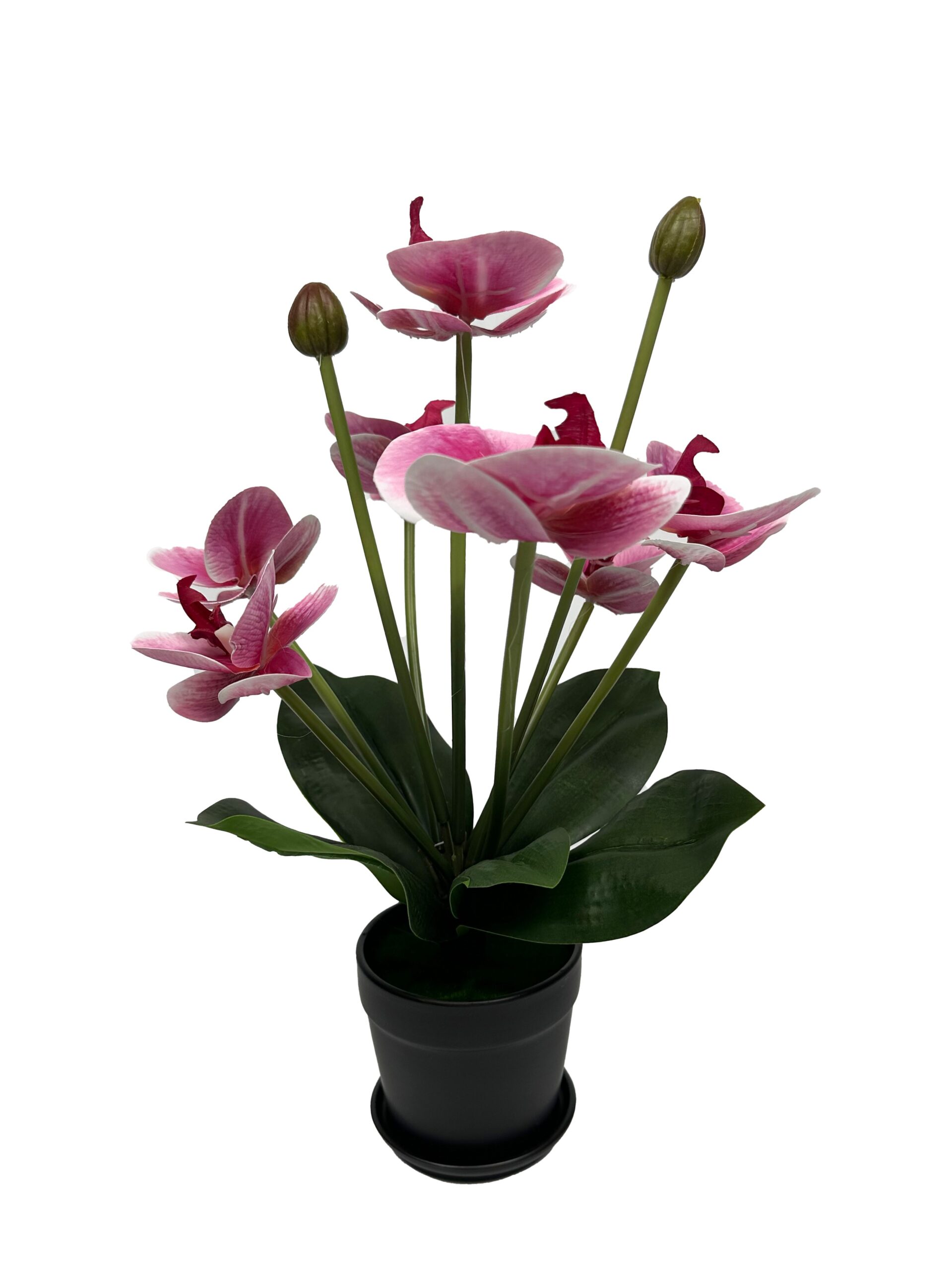 Τεχνητό Φυτό Phalaenopsis Μωβ με 9 Άνθη