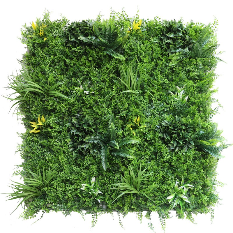 Vertical Garden Plant Dense Fern 100×100