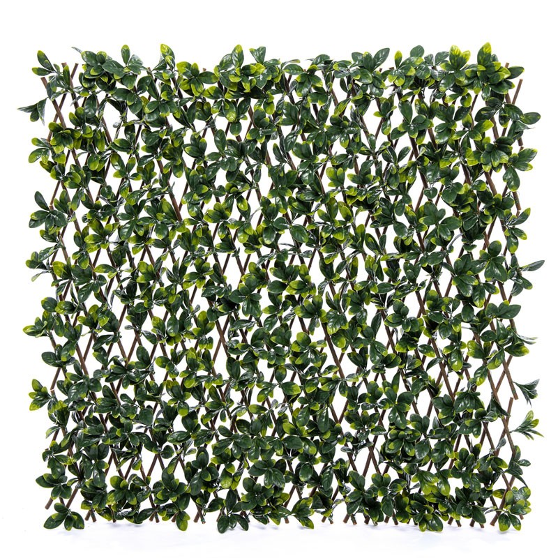 Vertical Garden Plant Bayberry Willow Fence 100×200