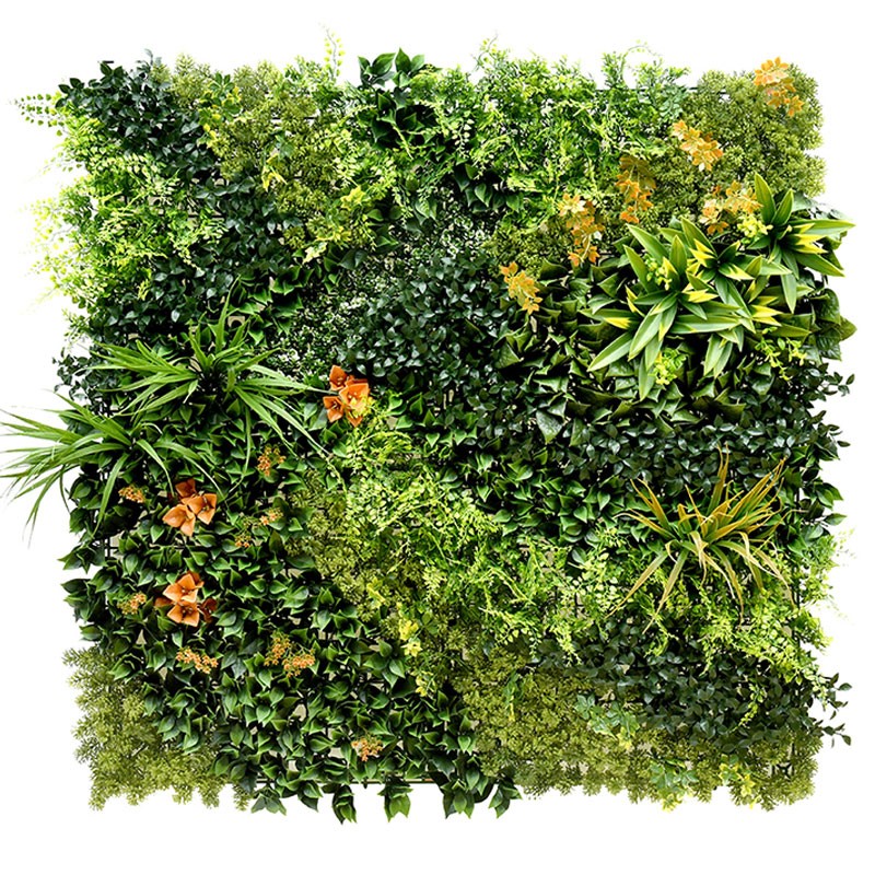 Vertical Garden Plant Orange Bougainvillea 100×100
