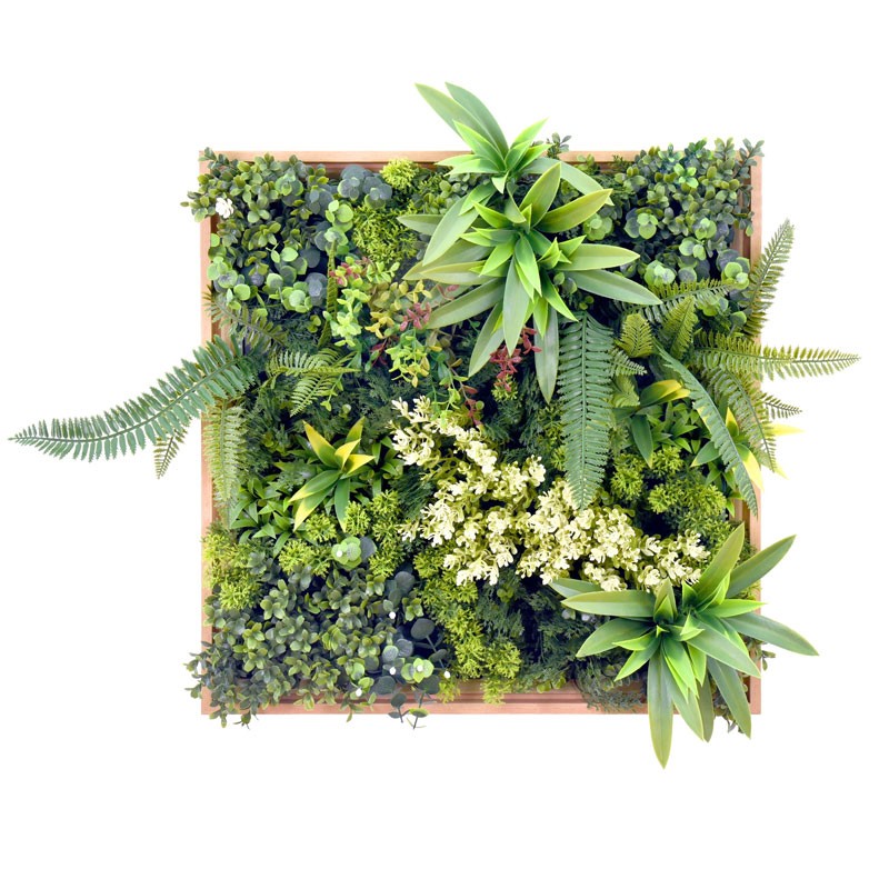 Vertical Garden Plant Rhea B 50×50