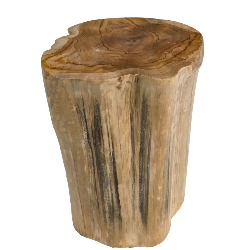 Βοηθητικό Τραπεζάκι Κορμός Stump Ξύλο Teak