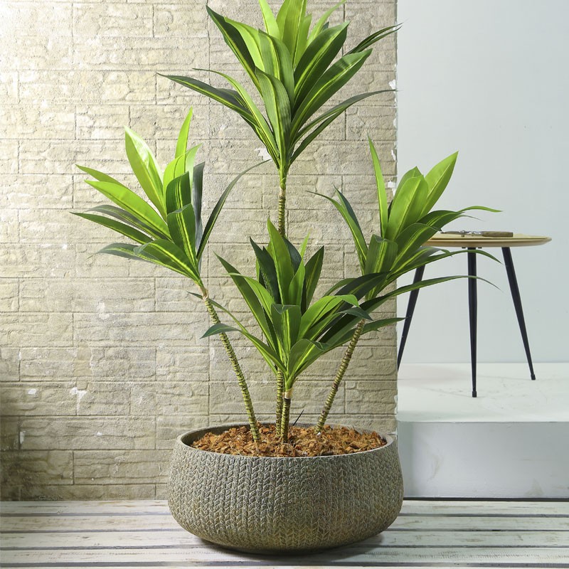 Κασπώ Χαμηλό Στρογγυλό Fiber Cement Blackish Green 45x19H
