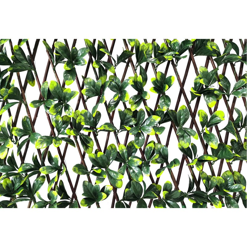 Vertical Garden Plant Bayberry Willow Fence 100×200