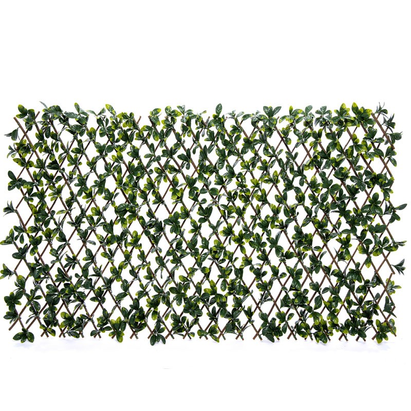 Vertical Garden Plant Bayberry Willow Fence 100×200