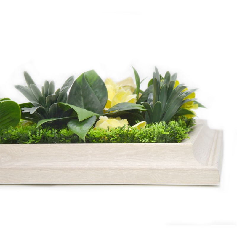 Vertical Garden Plant Refreshing Winter 25×25