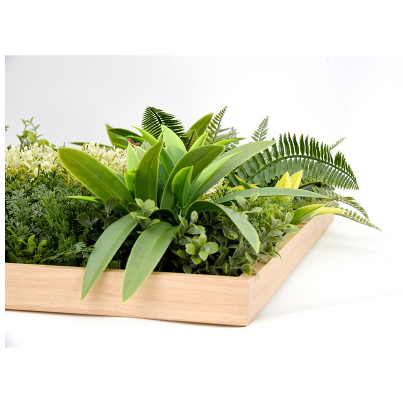 Vertical Garden Plant Rhea B 50×50
