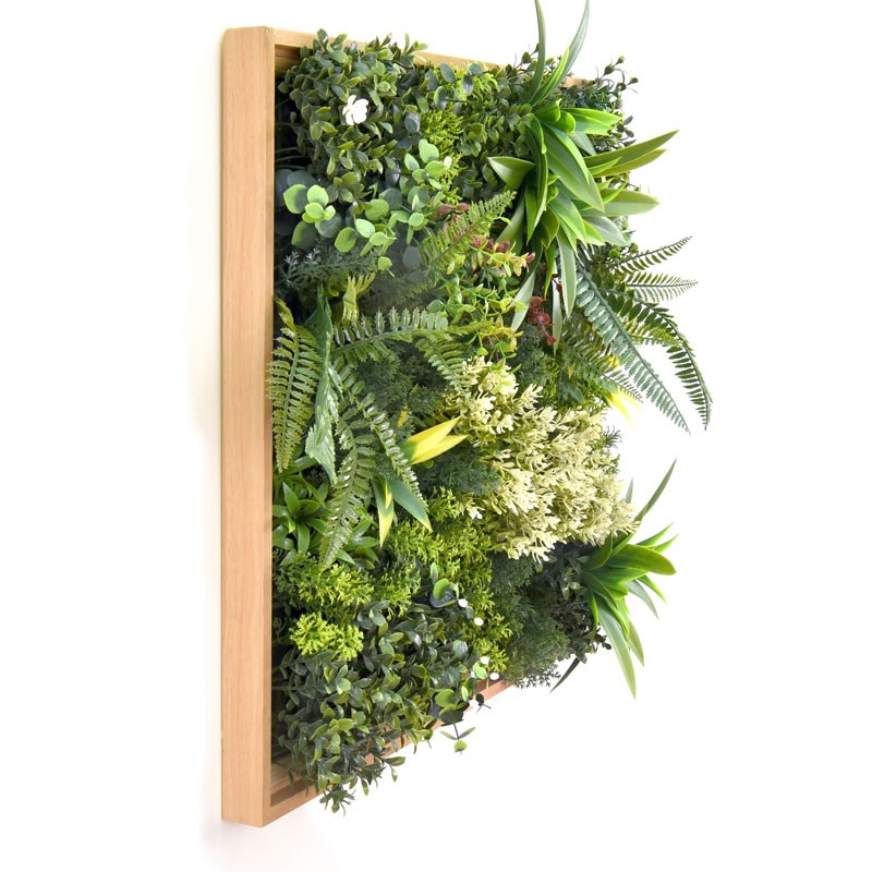 Vertical Garden Plant Rhea B 50×50
