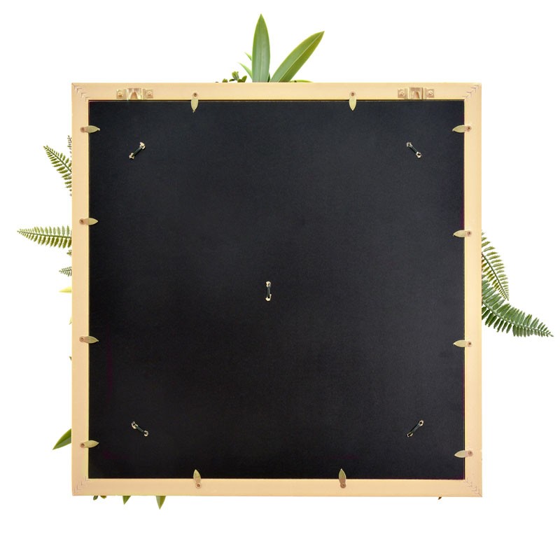 Vertical Garden Plant Rhea B 50×50